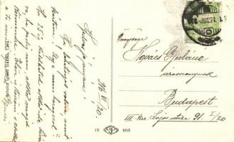 Léve, Levice; Várrom, szekér, kiadja Schulz Ignácz / castle ruins, cart (EK)