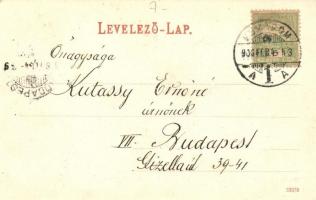 Komárom, Komárno; Erzsébet híd / bridge