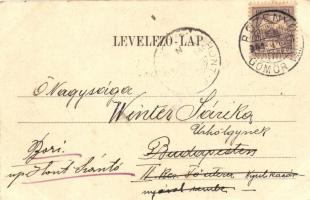 Rozsnyó, Roznava; Vasas gyógyfürdő, gőzmedence, kiadja Falvi Jenő / spa, steam pool