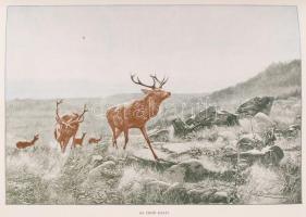 Bársony István: Erdőn-mezőn. Természeti és vadászati képek. Spányi Béla, Pataky László, Mesterházy K...