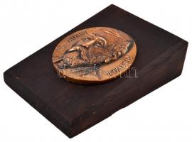 Kampfl József (1939-) 1981. "Dr. Politzer Ádám" Br emlékplakett fatalpon (101,5mm) T:2