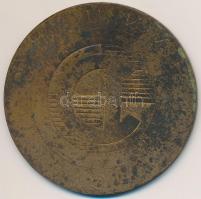 DN "Danuvia Hungary" egyoldalas, zománcozott fém érem (59,5mm) T:2