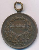 1917. "Bronz Vitézségi Érem IV. Károly / Fortitudini" Br kitüntetés mellszalag nélkül. Szi...