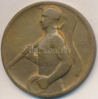 Berán Lajos (1882-1943) ~1930. "Ferencz Városi Torna Club" Br díjérem (40mm) T:2- 
HP 139...