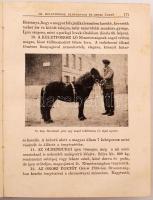 Hámori Dezső dr.:Lótenyésztés. 93 képpel, és 9 melléklettel. Bp.,1946, Athenaeum. Félvászon kötésben
