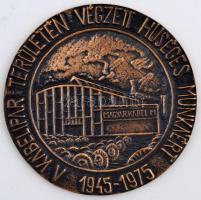 1975. &quot;A kábelipar területén végzett hűséges munkáért 1945-1975&quot; egyoldalas Br érem (87mm) T:2