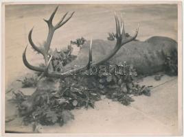 cca 1930 Kallós Oszkár (1874-1955): Vadászzsákmány, pecséttel jelzett vintage fotó, 18x24 cm
