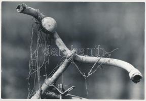 cca 1989 Kaiser Ottó pecséttel jelzett vintage fotóművészeti alkotása, publikálva az Igen c. lapban, 15x23 cm