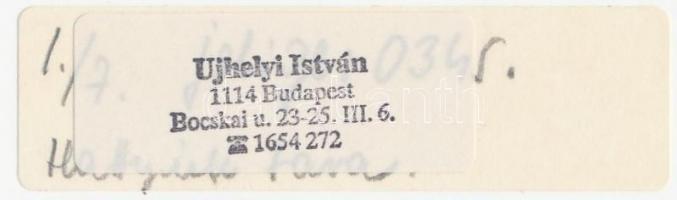 cca 1990 Ujhelyi István (1936-2003): Hattyúk tava, pecséttel jelzett vintage fotóművészeti alkotás, ...