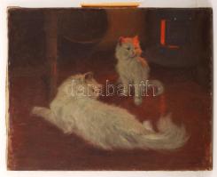 Heyer Artúr (1872-1931): Melegedő cicák. Olaj, vászon, jelzett,  54×69 cm