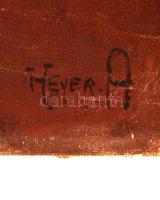 Heyer Artúr (1872-1931): Melegedő cicák. Olaj, vászon, jelzett,  54×69 cm