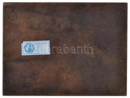 Ifj. Szlávics László (1959-) 1983. "Házi muzsika" egyoldalas öntött Br plakett (101x133mm)...