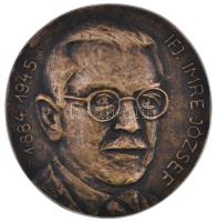 Bartos Endre (1930-) DN Ifj. Imre József 1884-1945 egyoldalas öntött Br plakett (111-114mm) T:2