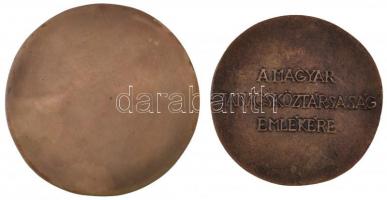 1969. "A Magyar Tanácsköztársaság emlékére / 1919-1969" kétoldalas Br érem (79mm) + 1970. ...