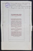 Budapest 1933. "Budapest Szobafestő, Címfestő, Mázoló, Aranyozó és Fényező Ipartestület Hitelsz...