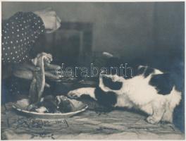 cca 1930 Ide a jussom! Festészetutánzó stílusban készült vintage fotóművészeti alkotás, amely szerzőjét tekintve további kutatást igényel, 17x22,5 cm