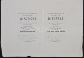 Budapest 1935. "Salgó-Tarjáni Kőszénbánya Részvény-Társulat" 25 részvénye egyenként 30P-rő...