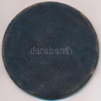 1975. "Szolnok Megyei Jubileumi Ipari és Élelmiszergazdasági Kiállítás" egyoldalas Br plak...