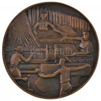 Veszprémi Imre (1932-) ~1970. "Munkáért Hűségért - Magyar Selyemipar" Br plakett dísztokba...