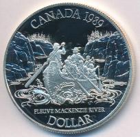 Kanada 1989. 1$ Ag "MacKenzie folyó" T:PP Canada 1989. 1 Dollar Ag "MacKenzie River" C:PP