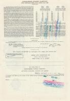 Amerikai Egyesült Államok / Michigan 1976. "Consumers Power Company" részvénye 10.000$-ról...