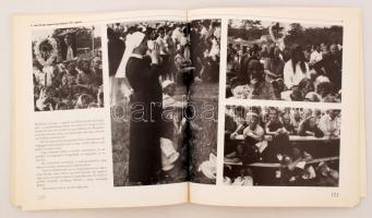 Esterházy Péter-Szebeni András: A vajszínű árnyalat 1988-. Pelikán Kiadó 1993. Papír kötésben