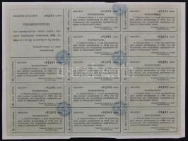 Budapest 1907. "Temesvár-Varjasi Helyi Érdekű Vasut Részvény-Társaság" törzsrészvénye 200K...