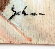 Schon jelzéssel: Kalapos nő. Olaj, falemez, 70×49 cm