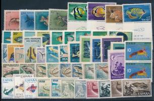 1955-1967 Halak motívum 16 db klf kiadás, közte teljes sorok, 1955-1967 Fishes 16 stamps with sets