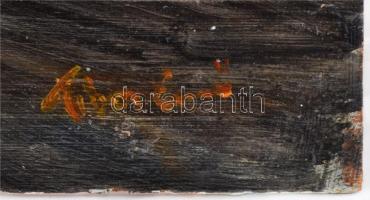 Tibor jelzéssel: Gondolás. Olaj, falemez, kis hibával, 50×36 cm