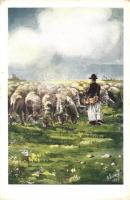 A dunántúli birkás / Hungarian shepherd, folklore, s: Köves (EK)