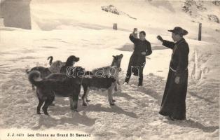 Les Chiens au Grand St. Bernard / Dogs from Great St Bernard Pass (EK)