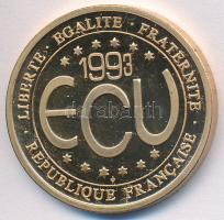 Franciaország 1993. Ecu / Nagy Károly aranyozott fém emlékérem (30mm) T:2 (PP) France 1993. Ecu / Charlesmagne gilt metal commemorative medallion (30mm) C:XF (PP)