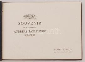 cca 1880-1900 Hunyadi János keserűvíz-forrástelep ismertető nyomtatvány, sok képpel illusztrált szép...