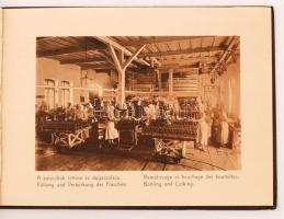 cca 1880-1900 Hunyadi János keserűvíz-forrástelep ismertető nyomtatvány, sok képpel illusztrált szép...