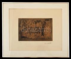 Karl Brandstätter (1946- ): Fák, színezett rézkarc, papír, jelzett (97/120), paszpartuban, üvegezett...