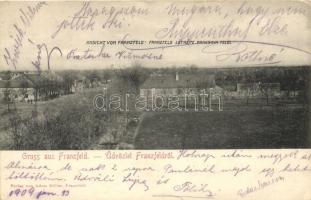Ferenchalom, Franzfeld; látkép Pancsova felől, kiadja Adam Müller / town-view from Pancsova (EK)