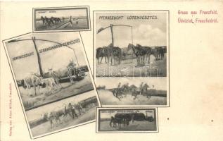 Ferenchalom, Franzfeld; Ló-, Marhatenyésztés, vetés, aratás / Horse and Cattle breeding, sowing, harvesting