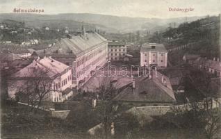 Selmecbánya, Banska Stiavnica; Dohánygyár / Tobacco factory (ázott / wet damage)