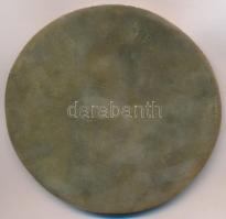 1980. "1945-1980" Br szocreál emlékplakett (102mm) T:2