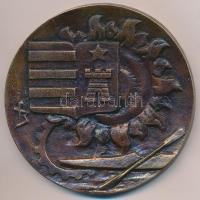 ~1979. "25 éves város Tata" Br emlékplakett. Szign.: MF (93mm) T:2