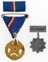 1951. "Közbiztonsági Érem" arany fokozata a rendőrség tagjai részére, aranyozott, zománcoz...