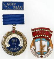 ~1970. "MHSZ eredményes munkáért" zománcozott jelvény eredeti dísztokban + "MÁV Szolg...