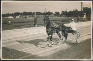 1925 Baden, Ügetőverseny, Atelier-Schiestl műterméből, sarkain törésnyomokkal, hátoldalon németül feliratozva, 11x16,5 cm / 1925 Baden, Trotting-race, Atelier-Schiestl photo, with German description on the verso, with small faults, 11x16,5 cm