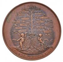 Német Államok / Bajorország 1893. "Lajos bajor herceg és Habsburg-Estei Mária Terézia ezüstlako...