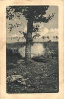 10 db RÉGI használatlan vadász motívumú képeslap, vegyes minőség / 10 old unused hunter themed motiv...