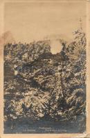 10 db RÉGI használatlan vadász motívumú képeslap, vegyes minőség / 10 old unused hunter themed motiv...