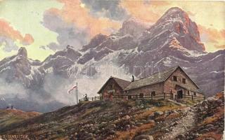 14 db RÉGI vegyes közép-európai városképes képeslap, 1 db leporelló képeslap, vegyes minőség / 14 ol...