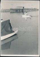 Élet a tavon, 2 db fotó a Balatonról és Hévízről, 18x13 és 18x18 cm