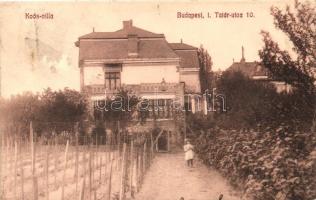 Budapest I. Tatár utca 10., Koós-villa (ázott / wet damage)